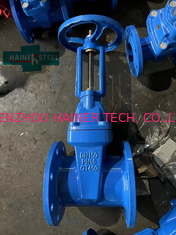 China QT450 RSV Gate Valve Z41-16Q-DN150 supplier